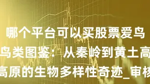 哪个平台可以买股票爱鸟护鸟｜陕西鸟类图鉴：从秦岭到黄土高原的生物多样性奇迹_审核_岳明_来源