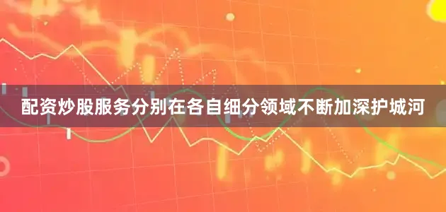 配资炒股服务分别在各自细分领域不断加深护城河