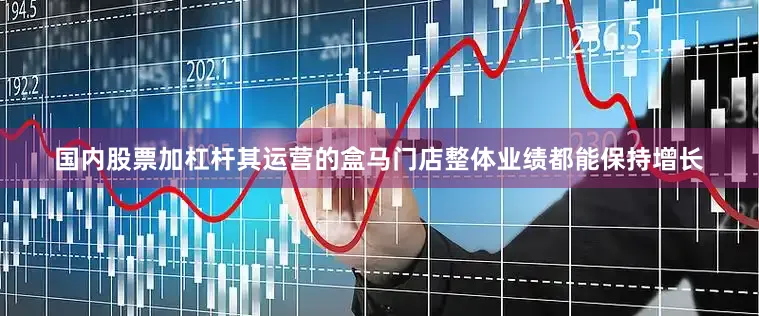 国内股票加杠杆其运营的盒马门店整体业绩都能保持增长